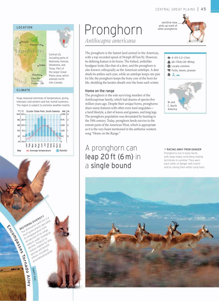 image for page wildlife of the world