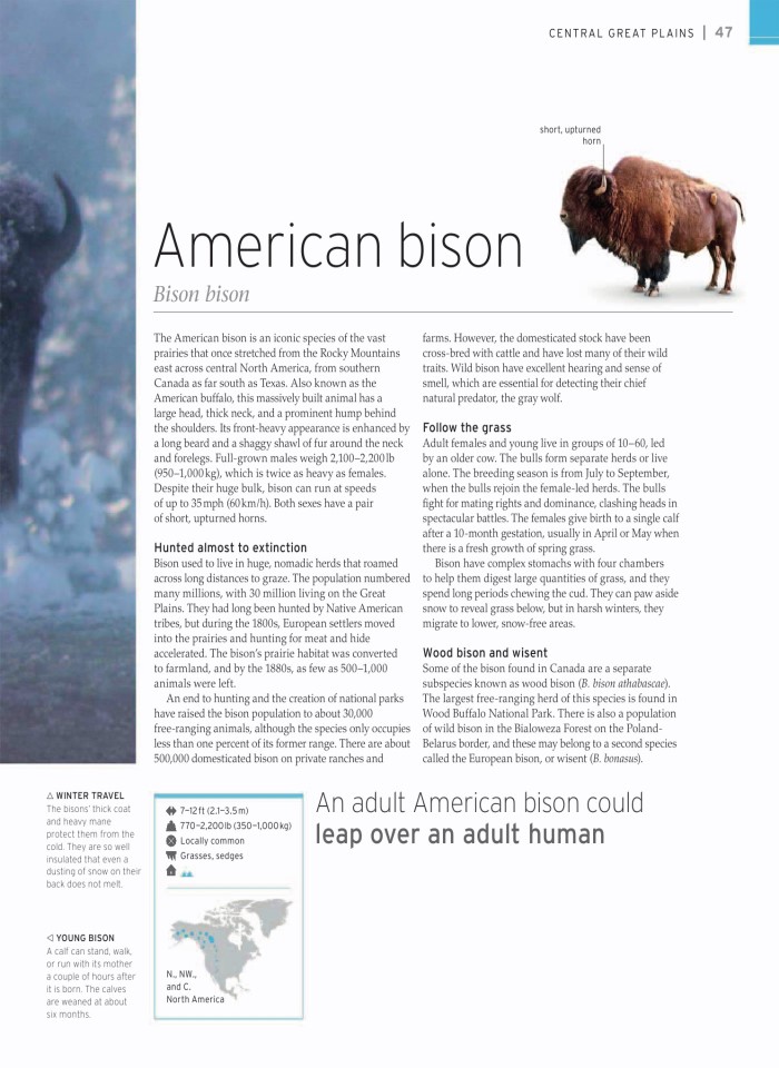 image for page wildlife of the world