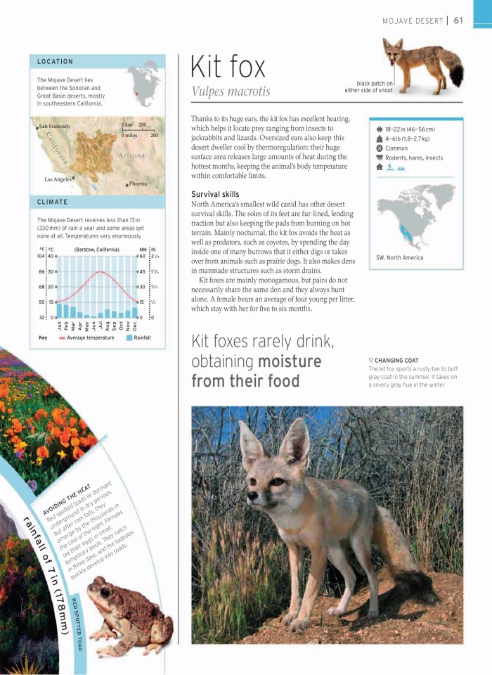 image for page wildlife of the world