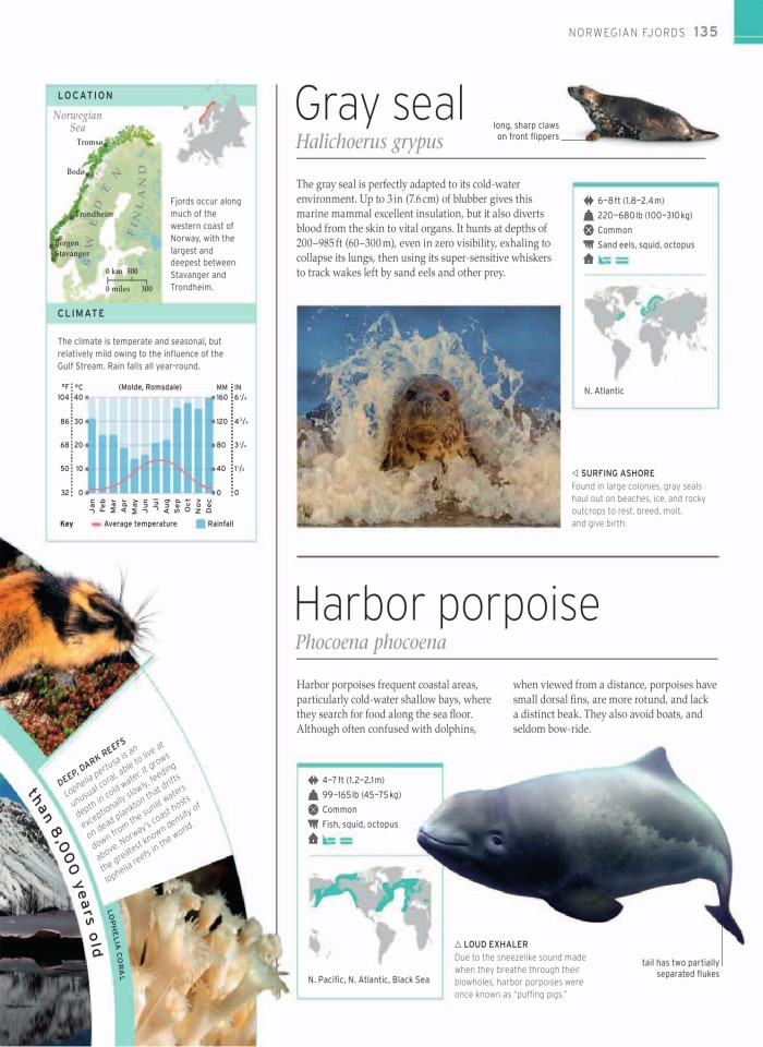 image for page wildlife of the world