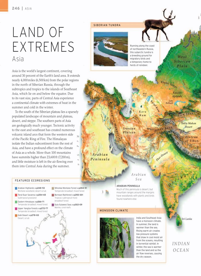 image for page wildlife of the world