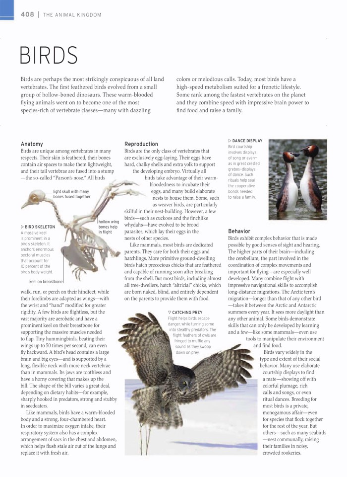 image for page wildlife of the world