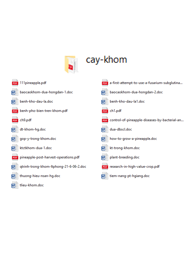 image for page Bộ tài liệu về kĩ thuật trồng rau 