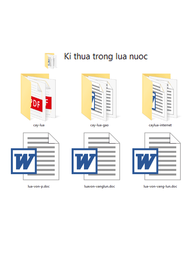 Bộ tài liệu về kỹ thuật trồng lúa nước