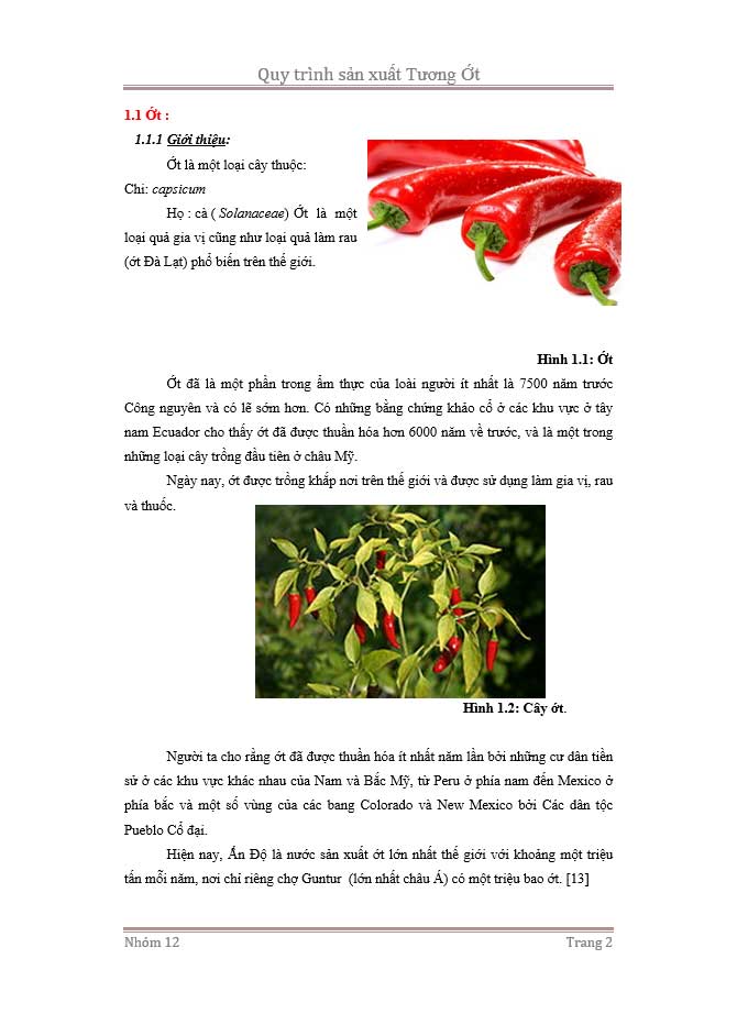 image for page Quy trình sản xuất tương ớt