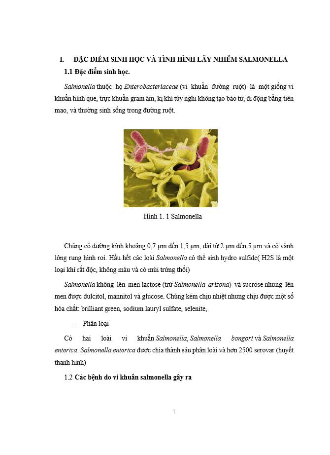 image for page Phát hiện và định danh Salmonella